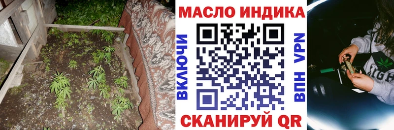 OMG сайт  Ноябрьск  ТГК Wax 